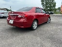 IMG_9005 Medium.webp