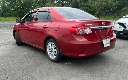 IMG_9008 Medium.webp