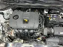 IMG_9084 Medium.webp