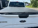 IMG_9197 Medium.webp